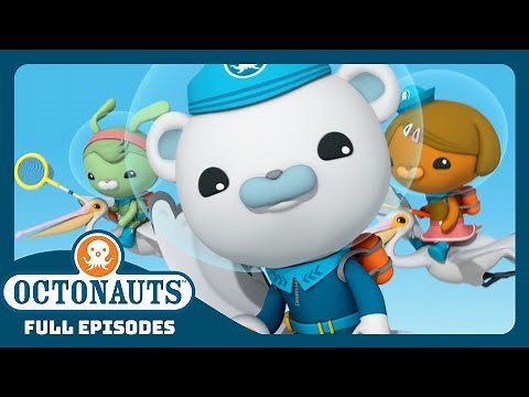 ‪@Octonauts‬ - 🌊 The Pelicans 🐦 | Season 3 | Full Episodes | Cartoons for Kids