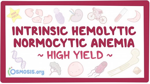 Intrinsic hemolytic normocytic anemia: Pathology review: Video, Causes, & Meaning | Osmosis