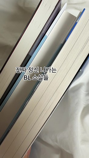 BL 소설 추천: 충격적인 페이지터너 4권 정리