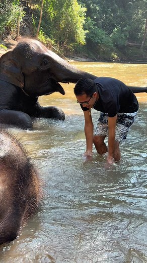 Cuánto cuesta bañar un elefante en Tailandia