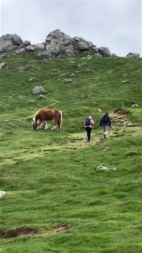French Pyrenees to Basque Country Hiking & Walking Tour