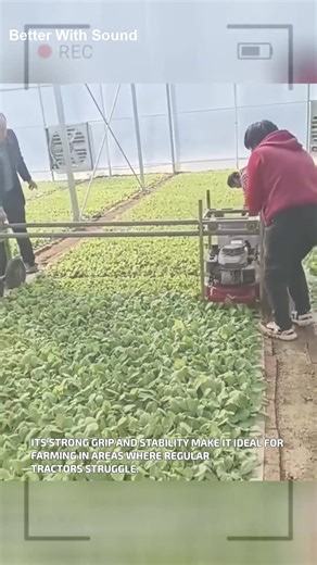 Chaos in Real Time during Sunset | Anime Pause | Facebook