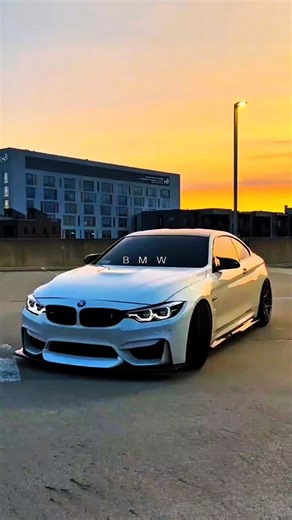 BMW x Gata Only 🤩 #bmw #automobile #bmws1000rr #bmwm5