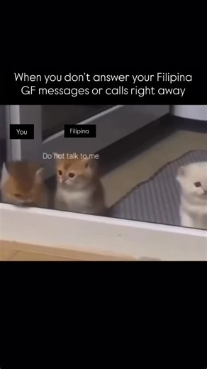 Daniel Hiralez on Instagram: "Either that or the dreaded “tampo” #philippines #manila #dating #funny #reels #viral #beautiful #instagood #afam #happy #doglovers #fyp #filipina #family #highvalueman #love #instagram #like #followme #followers #dating #funny"