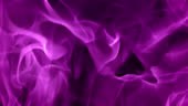 Slow motion close up shot of purple fire flames on a black background.
