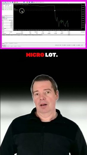 MQL5 Tutorial - How to simply adjust user input