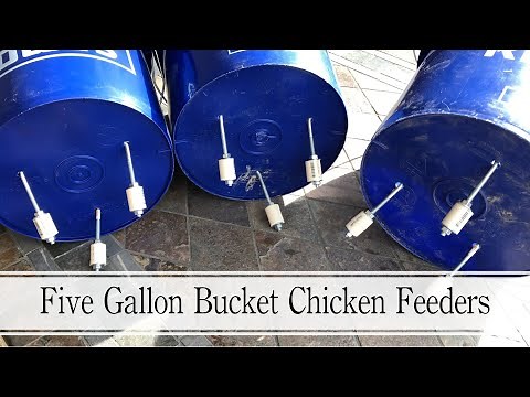 Making Five Gallon Bucket Chicken Feeders That Are RAT proof!