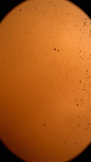 Massive Haboob Engulfs Arizona Neighborhood #Shorts