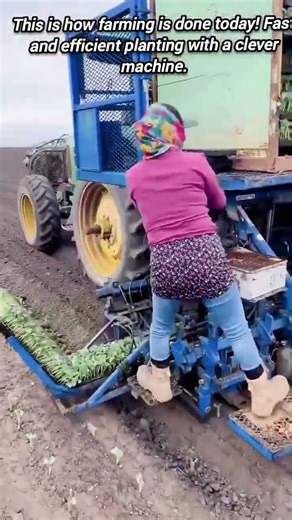 Amazing automatic planting machine at work.