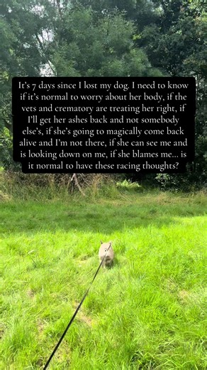 Understanding Grief After Losing a Dog