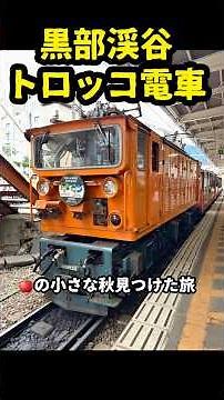 黒部渓谷トロッコ電車