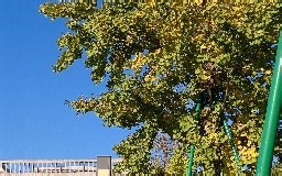 STM32入门教程-2023版 细致讲解 中文字幕-书中自有黄金屋学习-双创-哔哩哔哩视频