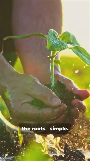 How to save water in agriculture using hydrogel? #farming #agriculturalsoils #soilbody