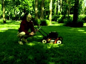 Jerry Baker's Year Round Lawn Care Spring Proper Mowing