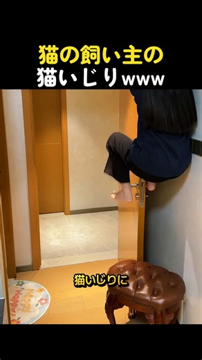猫の飼い主の猫いじり