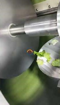 Automatic Fruit and vegetable centrifugal dewatering machine industrial food continuous dehydrator