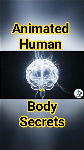 Discover the Human Body with Science and Animation