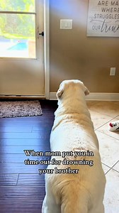 18K views · 807 reactions | Busters in TimeOut!!! | Buster's World | Facebook