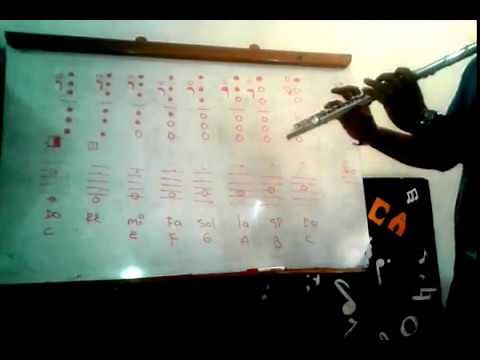 Todas las notas de la flauta traversa.