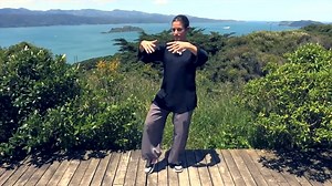 Tai Chi 5 Minutes a Day Module 01 - easy for beginners