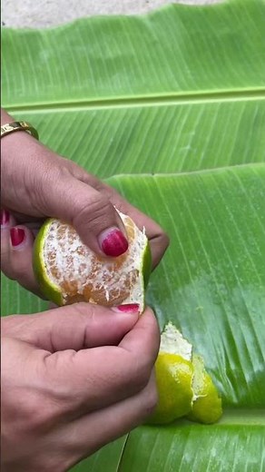 Jeruk Keprok Batu #jerukkeprok