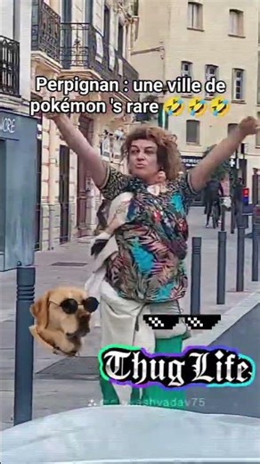 Perpignan : une ville remplie de pokémon 's rares 🤣