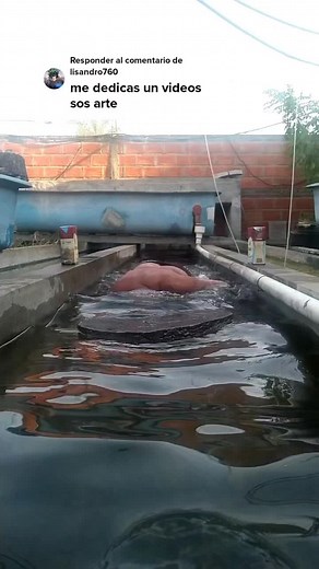 Engaging Water Fun in a Scenic Outdoor Setting
