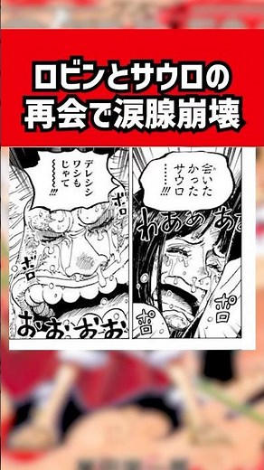 【ONE PIECE】ロビンとサウロが再会。涙腺崩壊。#onepiece #ワンピース #anime #アニメ #ジャンプ