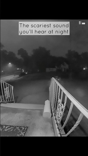 Red fox mating call #wildlife #fox #redfox #garden