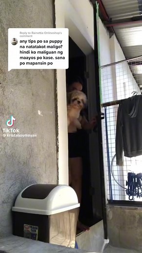 6K reactions · 48 shares | Pamper your pets from head to toe with Pampered Pooch Pet Grooming Products. Thank you @kristaljoymayaii 﫶 #pamperedpooch #dogshampoo #dogcogne #dogsoap #petgrooming | Pampered Pooch | Facebook