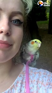 This cockatiel won't leave her mom alone — so they go on hikes together 💙 | The Dodo