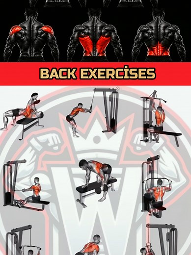9 Best Back Exercises for a Wider Stronger Back 💪🔥 Want a stronger wider and more defined back This workout includes 9 effective back exercises that target the upper back lats traps rear delts and lower back ✅ Beginners: Pick 4-5 exercises ✅ Intermediate: Pick 5-7 exercises ✅ Advanced: Perform all 9 exercises Sets & Reps 🔥 3-4 sets per exercise 🔥 8-12 reps for muscle growth 🔥 12-15 reps for endurance and definition 🔥 Rest 60-90 seconds between sets Focus on controlled reps full range of mo