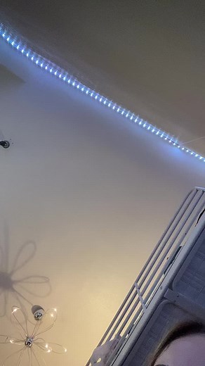 Stunning Blue LED Flower Light Fixture Showcased