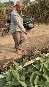 Bharatsinh Gohil on Reels