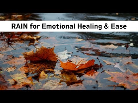 Guided RAIN Meditation for Healing Difficult Emotions (Rain Sounds Option ON/OFF) 🌧️