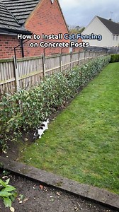 335K views · 2.4K reactions | Install Cat Fencing on Concrete Posts like a Pro! ✨ #catfencing #catproofgarden #diy | ProtectaPet | Facebook