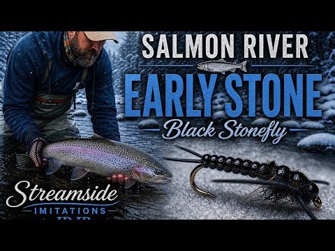 Salmon River Early Black Stonefly