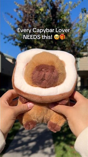 Website: CapyPlush.Store ! Link in Bio ❤️ The CUTEST Capybara Plush EVER‼️🥹🎄 #plushsale #capybara