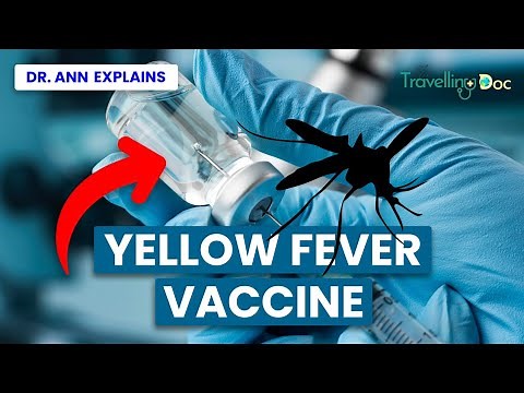 Yellow Fever Vaccine Explained: What You Need to Know - Doctor explains