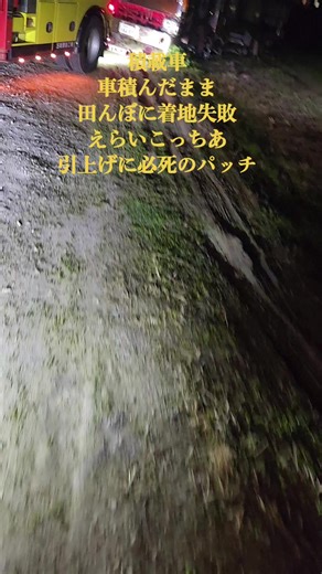 #積載車田んぼに填まった#レスキュー #🇯🇵零戦一番機🇯🇵 #デコトラツーリング #必死のパッチ #えらいこっちあ