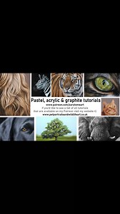 14K views · 256 reactions | I'm currently drawing Abby a beautiful chocolate Labrador. I love drawing this fur colour in pastels. I think the richness of the pigment and how you can layer with the pastel pencils, makes this a perfect medium to use. | Zara's Pet Portraits & Wildlife Art | Facebook