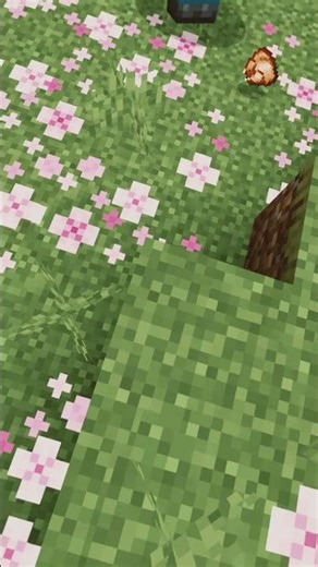 Minecraft translation