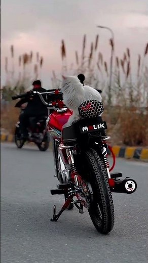 Honda 125 modification | Honda modification | modified Honda looks | Honda 125 modified look