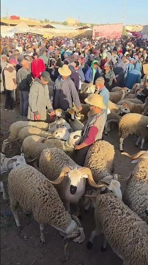 😱 Thousands Rush to the Qurban Market Before Eid al-Adha! Following the Sunnah of Prophet Ibrahim 🐏🐄