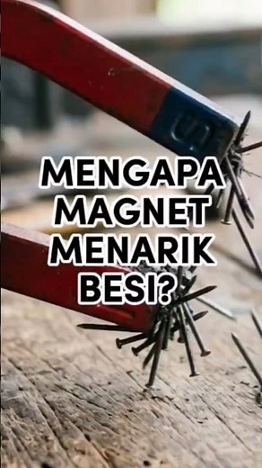 Why Can Magnets Attract Certain Metals?