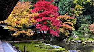 Screen/Color test video [1080p]