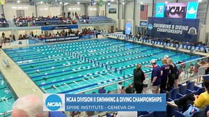 2024 DII swimming & diving day five: evening session full replay