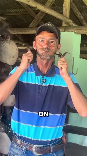 Why Cowboys Wear Spurs 🤠 #fyp #facts | Spurs