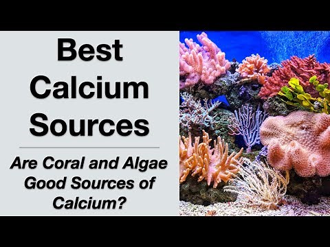 Are Coral and Algae the Best Calcium Sources for Osteoporosis?