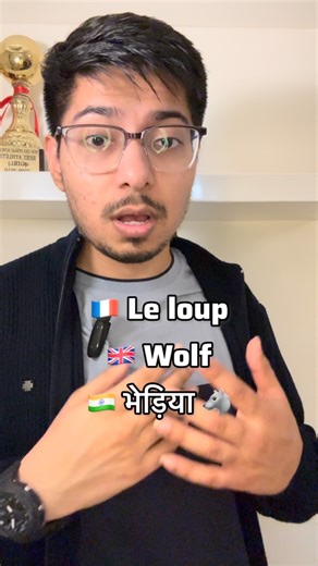 Sumrit Khurana on Instagram: "French Animals Vocabulary — Part 2 🇫🇷✨ Learn 6 more animals in French and boost your daily vocabulary! 🦔🐺🦉🐌🦋🐍 🦔 Hedgehog → Le hérisson 🐺 Wolf → Le loup 🦉 Owl → La chouette / Le hibou 🐌 Snail → L’escargot 🦋 Butterfly → Le papillon 🐍 Snake → Le serpent Follow for quick daily French learning! 🎯 👉 @languagespherefrench #learnfrench #frenchwithsumrit #languagespherefrench #frenchteacher #frenchlearning #frenchvocabulary #frenchlesson #delf #tcf #tefcanada